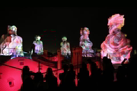 Barcelona: La Pedrera Night Experience