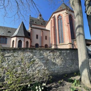 Mainz: Upper and Old Town Guided Walking Tour with Wine Stop