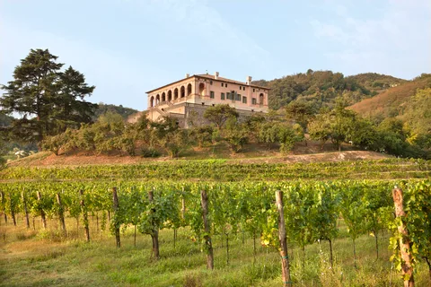 Villa dei Vescovi