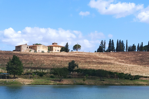 Au départ de Florence : Visite privée de la région du Chianti avec dégustation de vins