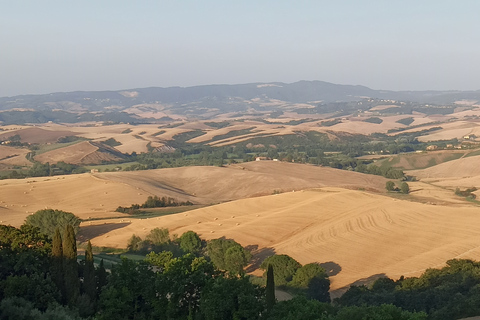 Au départ de Florence : Visite privée de la région du Chianti avec dégustation de vins