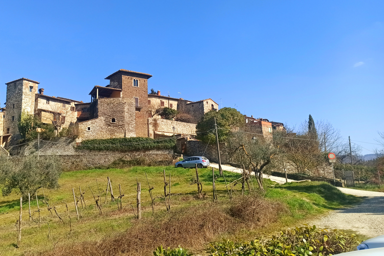 Au départ de Florence : Visite privée de la région du Chianti avec dégustation de vins