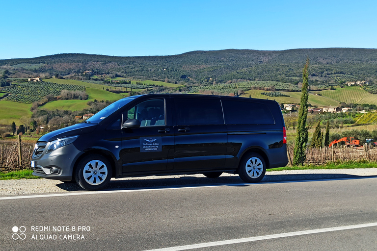 Au départ de Florence : Visite privée de la région du Chianti avec dégustation de vins