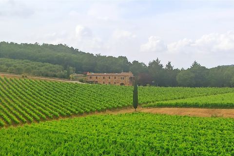 Au départ de Florence : Visite privée de la région du Chianti avec dégustation de vins