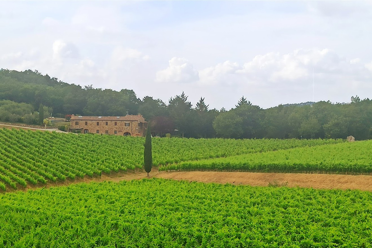 Au départ de Florence : Visite privée de la région du Chianti avec dégustation de vins