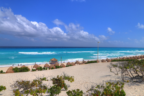 Cancun: Tour de ônibus hop-on hop-off para conhecer a cidadeCancun: Bilhete de ônibus panorâmico hop-on-hop-off