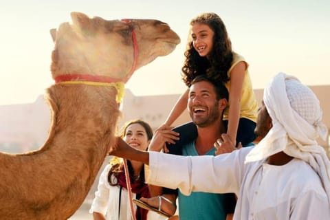 From Sharm El Sheikh: Bedouin Village, Camel Ride & Dinner