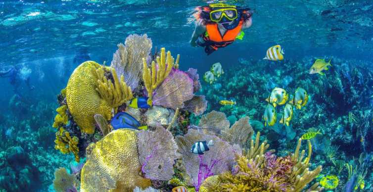 Riviera Maya Native Park Entrance Ticket With Reef Snorkel