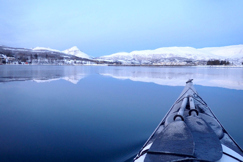 Tromsø: Excursión guiada en kayak de mar en invierno, con aperitivos