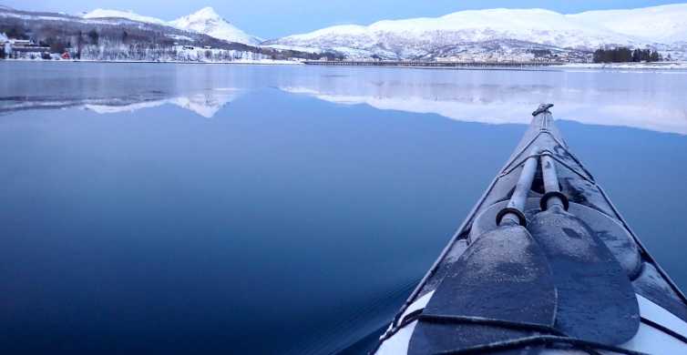 Tromsø Winter Sea Kayaking Guided Tour with Snacks GetYourGuide