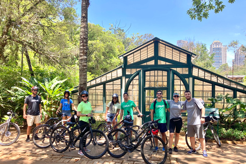 São Paulo: cykeltur med gatukonst