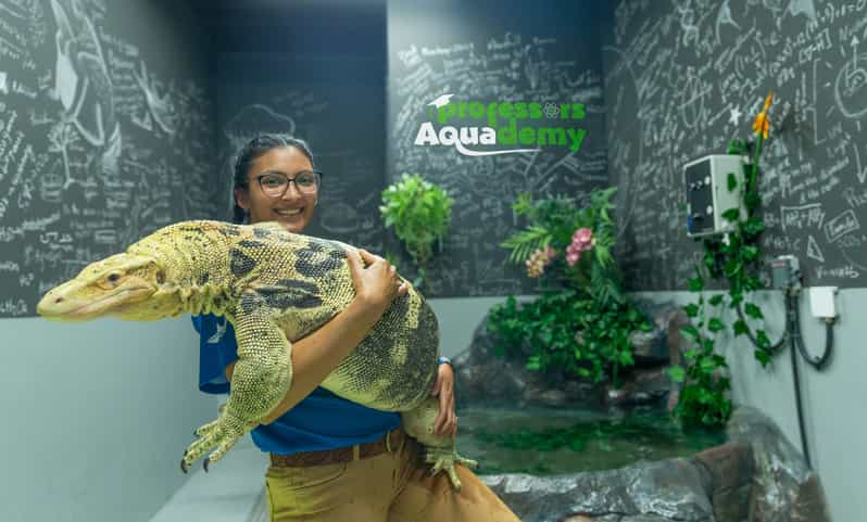 Abu Dhabi National Aquarium Entrance Ticket Getyourguide 6893