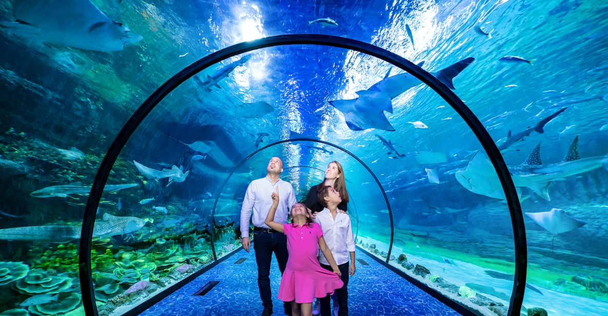 Abu Dhabi: National Aquarium Entrance Ticket | GetYourGuide