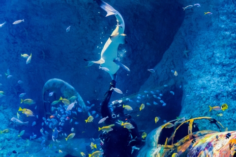 Abu Dhabi: toegangsticket voor het nationale aquariumEntreeticket Nationaal Aquarium