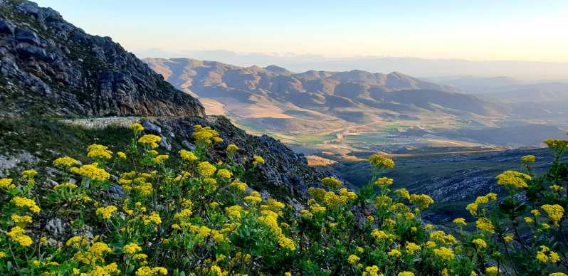 Swartberg: Swartberg Pass and Private Guided Tour