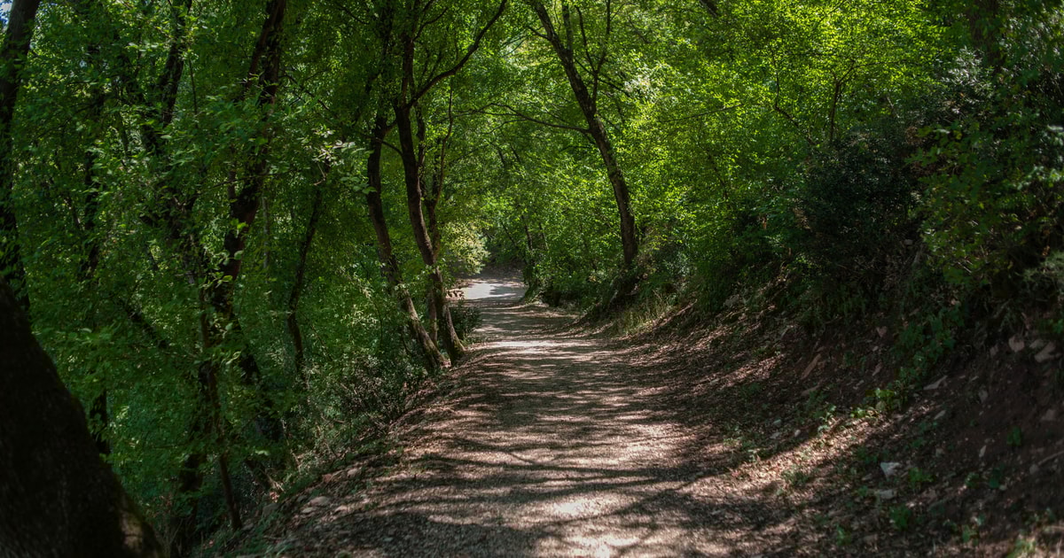 Assisi Bosco di San Francesco Eintrittskarte GetYourGuide