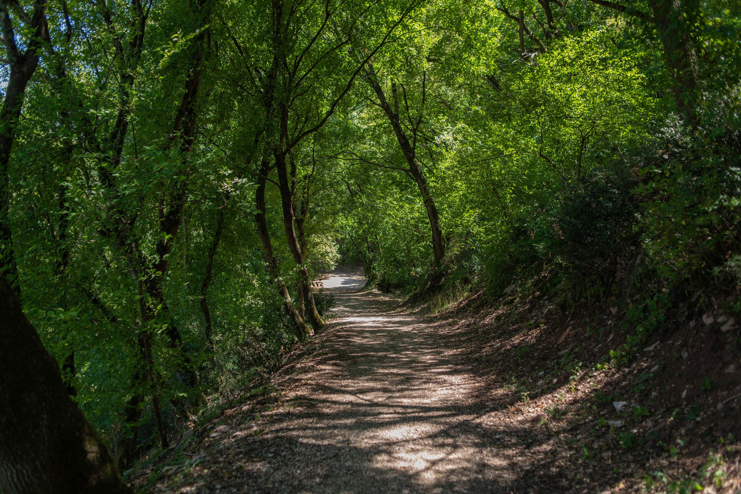 Assisi: Bosco di San Francesco Eintrittskarte