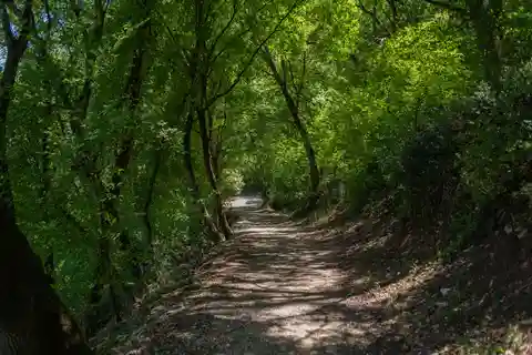 Biglietto d'ingresso al Bosco di San Francesco