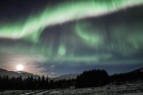 Akureyri: gita di un giorno in 4x4 dell'aurora boreale con cioccolata calda