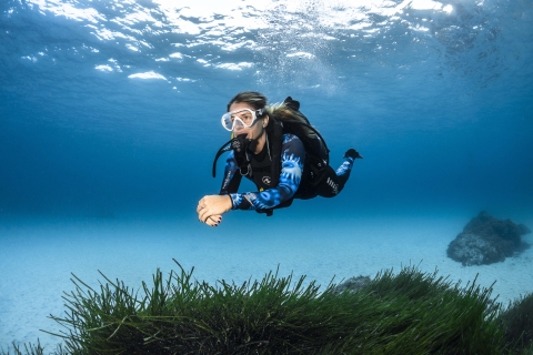 Majorque : XL Découvrez la plongée sous-marine depuis la plageXL Découvrez la plongée sous-marine depuis la plage