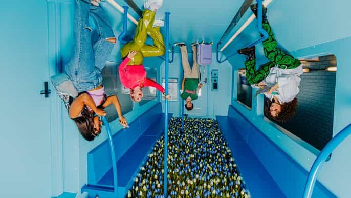 The Upside Down: ticket de entrada al museo