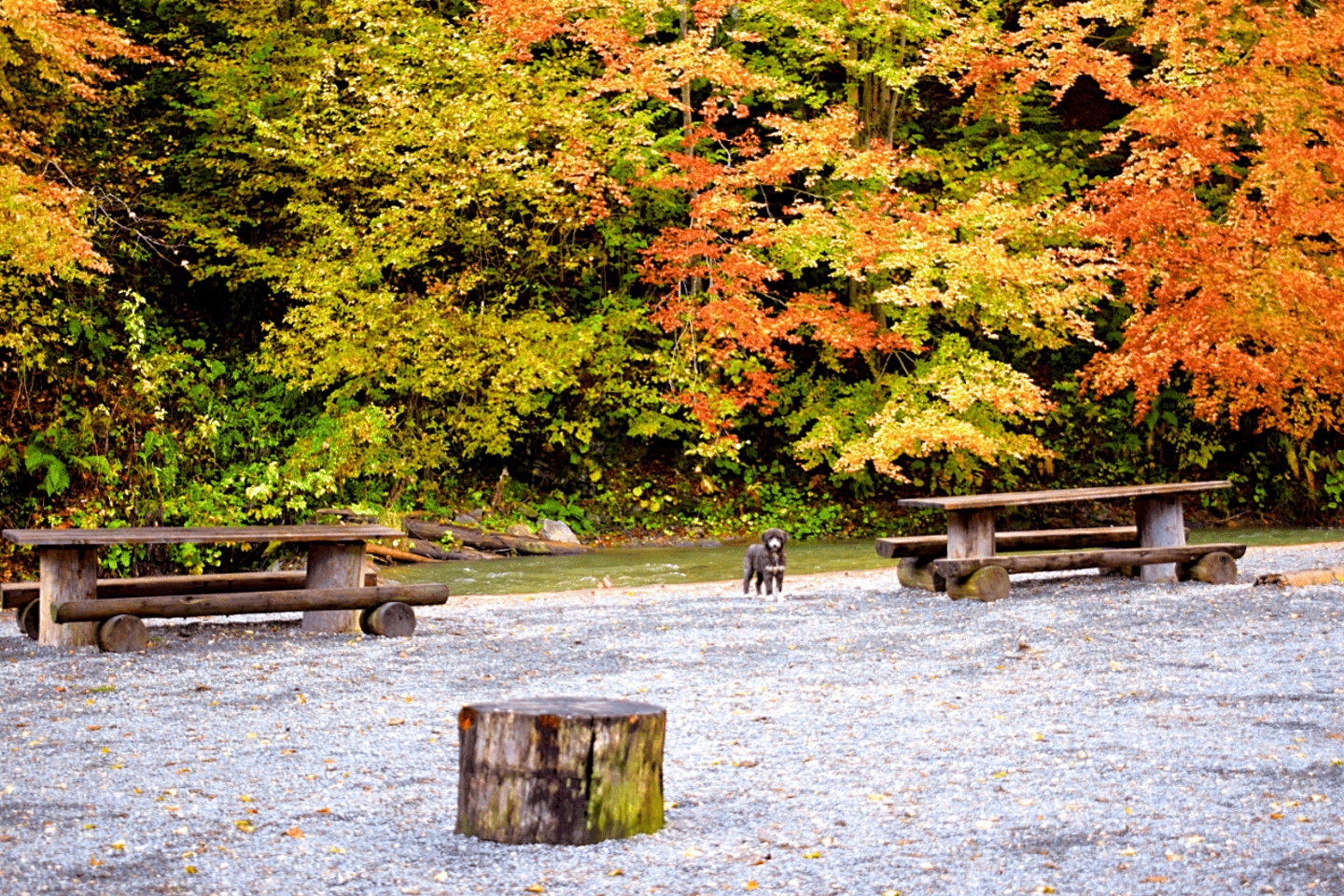 CJ03 - Day trip to Maramures Mocanita Train from Cluj Napoca