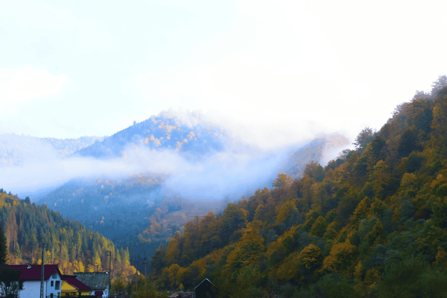 CJ03 - Day trip to Maramures Mocanita Train from Cluj Napoca