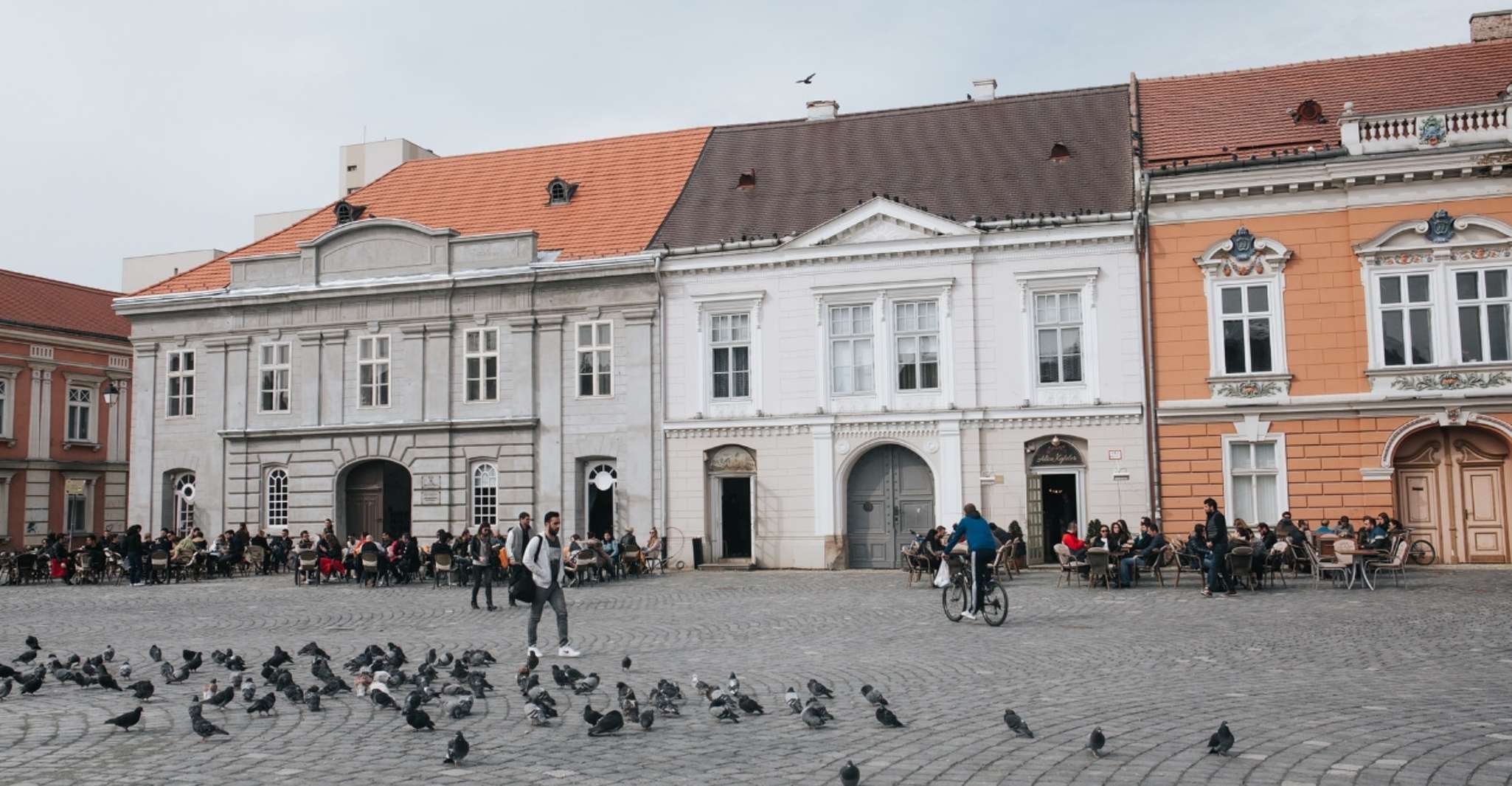 从Timisoara,私人日间旅行到阿拉德 - Hizvo