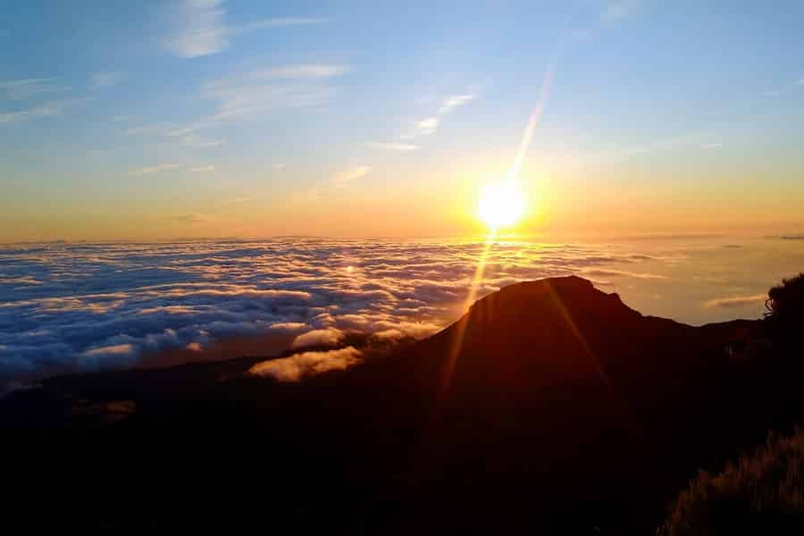 Madeira: Geführte Sonnenaufgangswanderung auf dem Pico Ruivo mit Abholung vom Hotel. Foto: GetYourGuide
