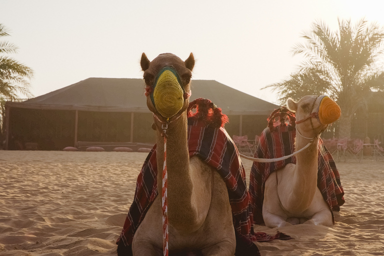 Dubai: Hot Air Balloon, Desert Safari, and Quad Biking Tour