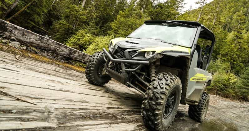 From Ketchikan: Mahoney Lake Off-Road UTV Tour with Lunch | GetYourGuide