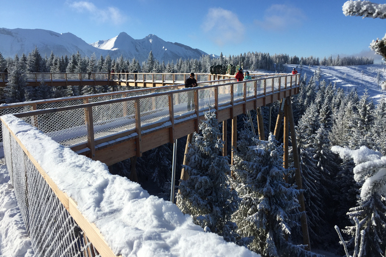 Cracovie : Marche dans les arbres en Slovaquie et Zakopane avec sources thermalesVoyage privé Slovaquie, Zakopane et sources thermales