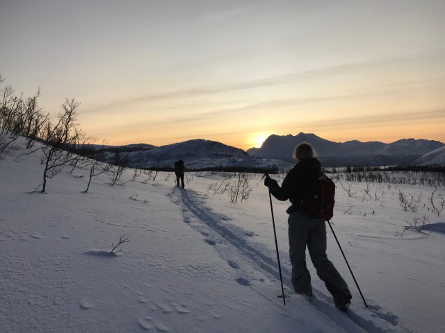 Visit Tromsø Beginners Guided Backcountry Cross-Country Skiing in Tromsø