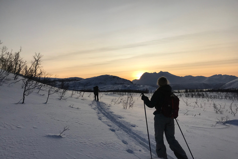 Tromsø: Anfängerfreundliche nordische Skitour in der Wildnis