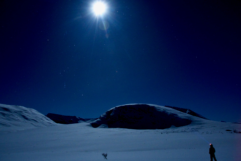 Tromsø : Randonnée nordique à ski en pleine nature pour les débutants