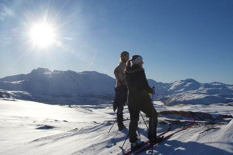 Tromsø: Excursión de esquí nórdico de travesía para principiantes