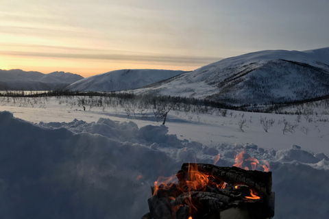 Tromsø : Randonnée nordique à ski en pleine nature pour les débutants