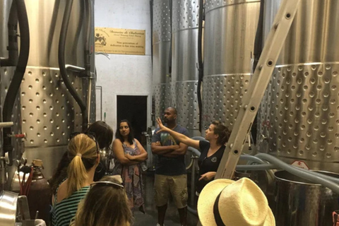 Z Toronto: Niagara Wine Tours