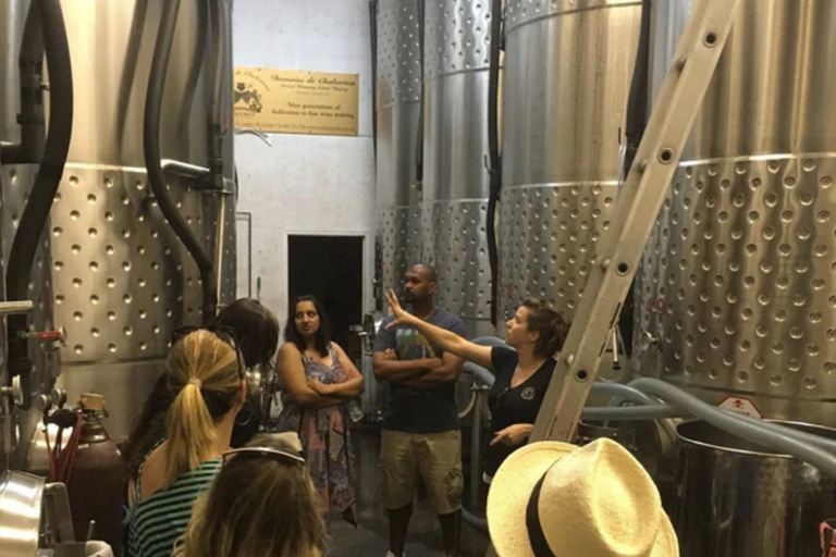 Z Toronto: Niagara Wine Tours