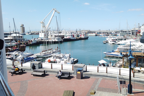 Le Cap : Tour de la Montagne de la Table et de Robben Island