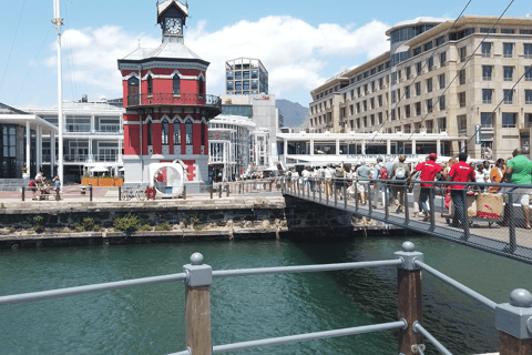 Kapstaden: Taffelberget och Robben Island Tour