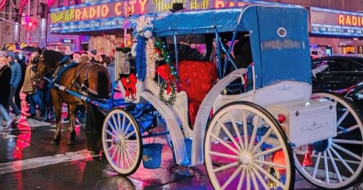 Cental Park NYC Horse & Carriage Rides GetYourGuide