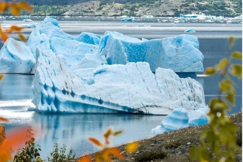 Seward : Tour en hélicoptère de l'océan et des icebergs avec 2 atterrissages