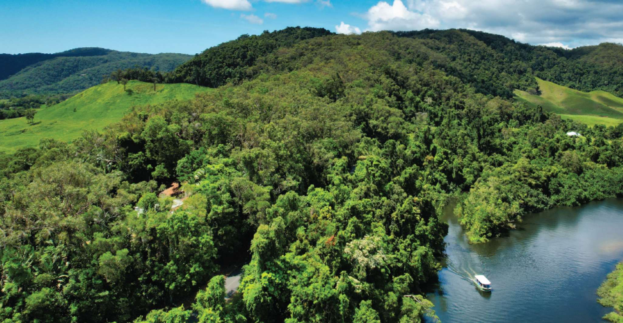 Daintree Rainforest, Crocodile & Wildlife River Cruises - Housity