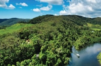 Daintree Rainforest, Crocodile & Wildlife River Cruises - Housity