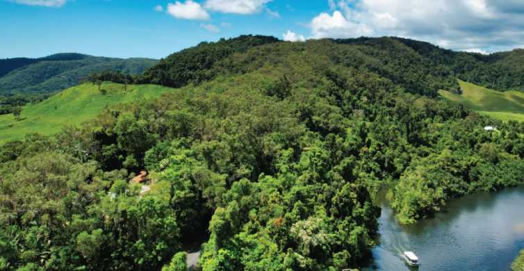 Daintree Rainforest Crocodile & Wildlife River Cruises