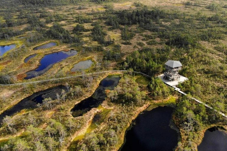 Tallin: Las mejores rutas naturales de Estonia en un día de visita guiada