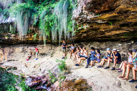 Sidney Excursión de un día a la cascada Bushwalk y a la puesta de sol en la Montaña AzulSídney: tour al atardecer por las Montañas Azules