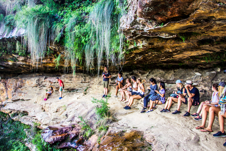 Sydney: Tagestour zum Wasserfall und Sonnenuntergang am Blue MountainAb Sydney: Blue Mountains Sonnenuntergang & Wildnis-Tour