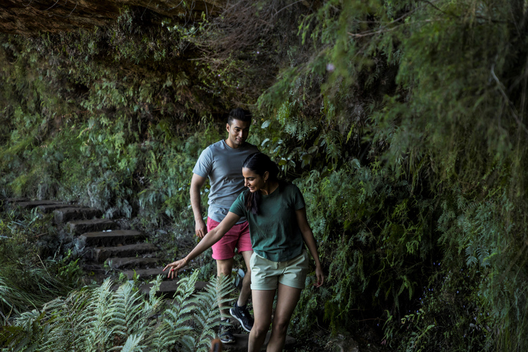 Sydney: Viagem de 1 dia para a Cachoeira Bushwalk e Blue Mountain SunsetSydney: Blue Mountain Sunset, Bushwalk &amp; Wilderness Tour